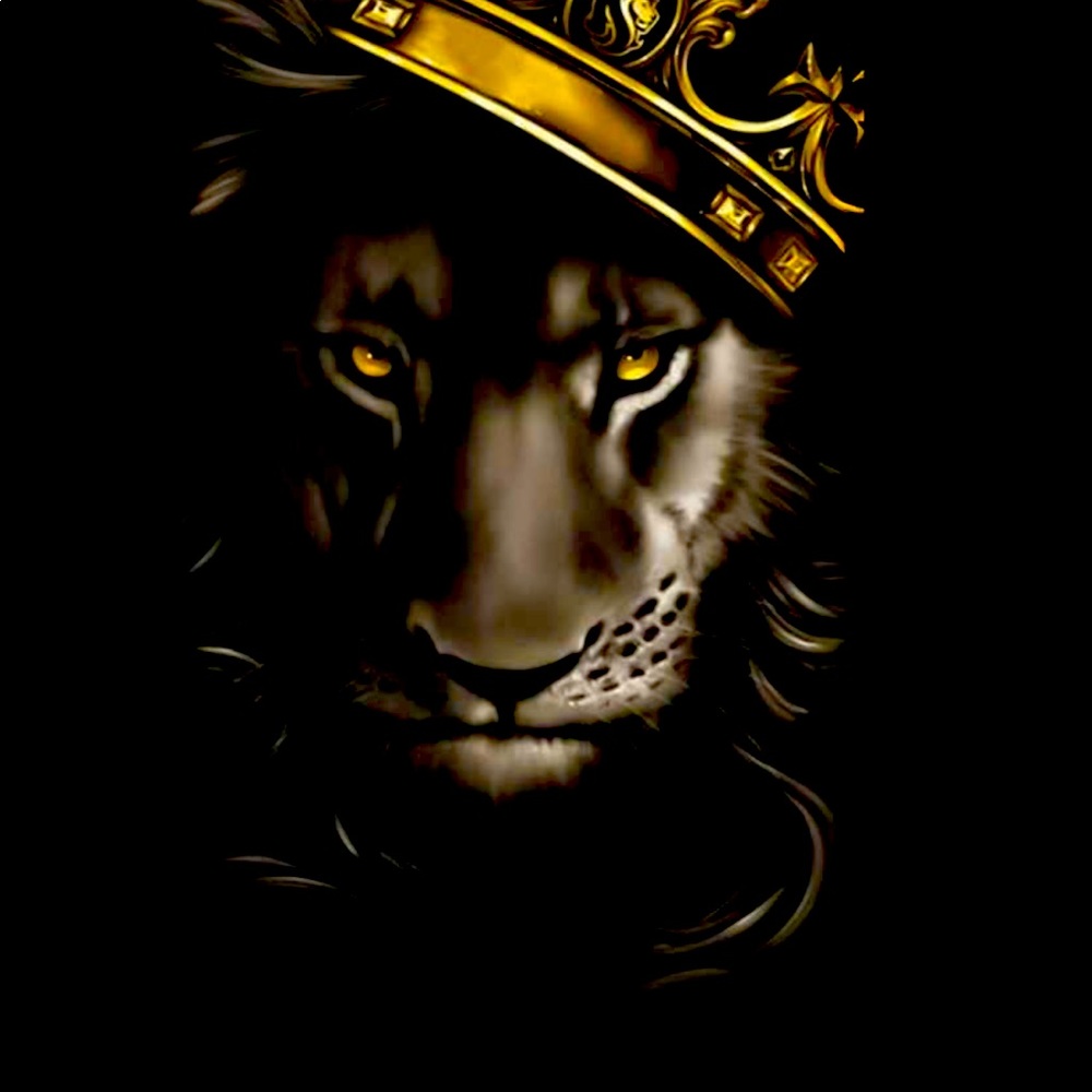 Meet your Posher, Jacque